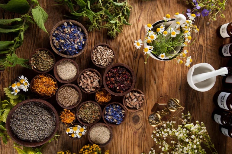 سومین گردهمایی فعالان گیاهان دارویی در تهران برگزار می‌شود