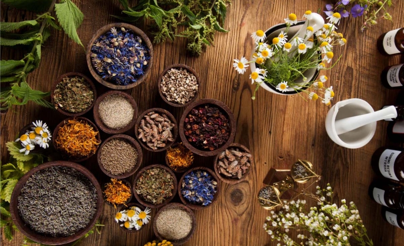 سومین گردهمایی فعالان گیاهان دارویی در تهران برگزار می‌شود